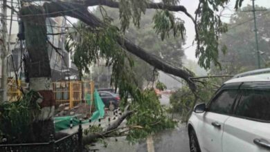 Dehardun Weather: मौसम ने दिखाए तीन रंग…डराया, सताया फिर दी राहत, झमाझम बारिश, तेज आंधी-तूफान से गिरे पेड़ Dehardun Weather: मौसम ने दिखाए तीन रंग…डराया, सताया फिर दी राहत, झमाझम बारिश, तेज आंधी-तूफान से गिरे पेड़