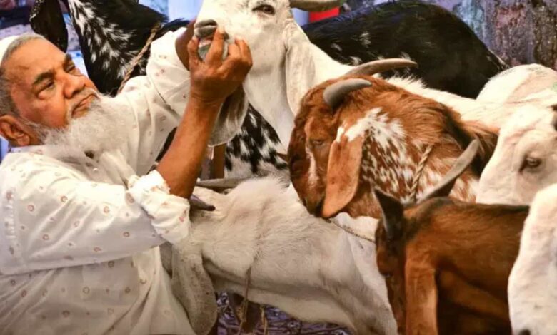बकरीद अवकाश पर उत्तराखंड सरकार का नया आदेश, 27 नहीं अब 28 मई को रहेगी छुट्टी बकरीद अवकाश पर उत्तराखंड सरकार का नया आदेश, 27 नहीं अब 28 मई को रहेगी छुट्टी